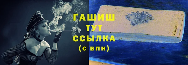 мдпв Инсар