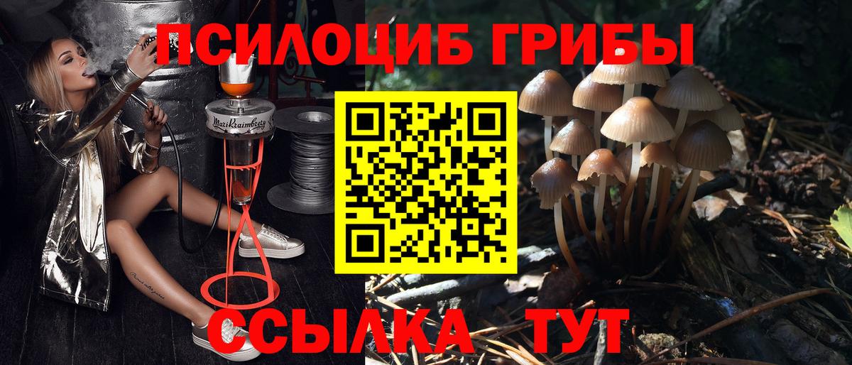 где найти наркотики  Вход с VPN  Долгопрудный  Галлюциногенные грибы мухоморы 